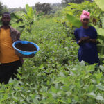 FC - Agro-ecology for sustainable livelihood of Smallholders Farmers